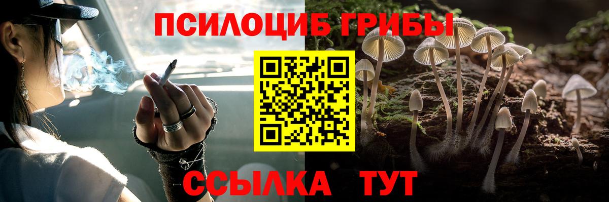 Псилоцибиновые грибы Psilocybine cubensis Мценск
